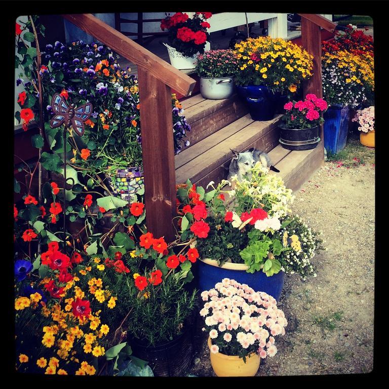Ellis Garden