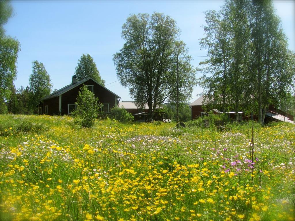 Country house Ellis Garden *